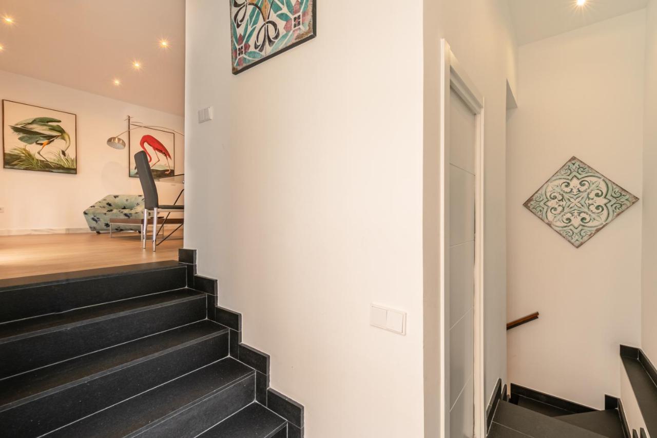 Luxury Setas Appartement